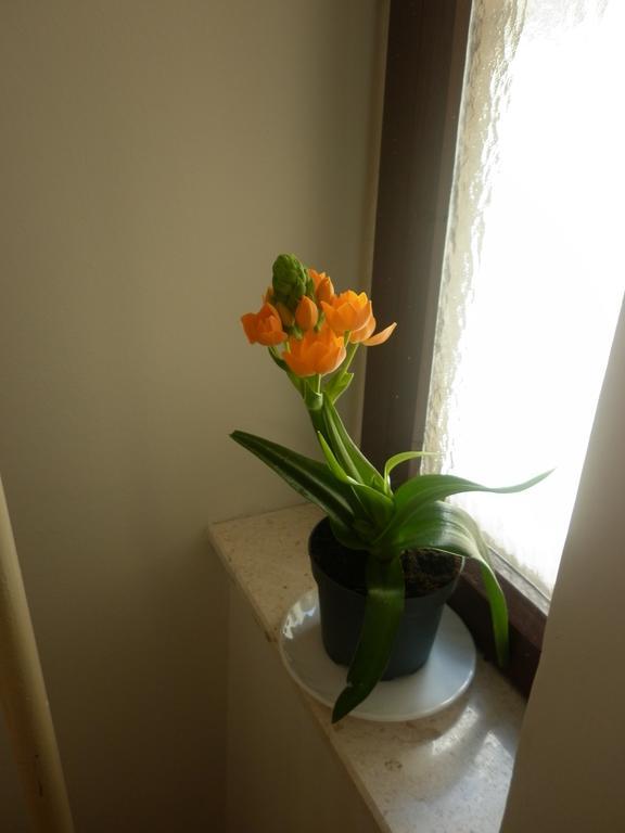 Apartments Calendula Rubic Split Exterior photo